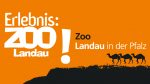 Zoo Landau